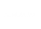 AURUM MX - Inicio